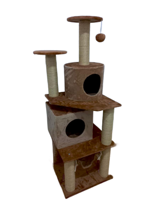 Arbre à chat multi-niveaux avec tunnel
