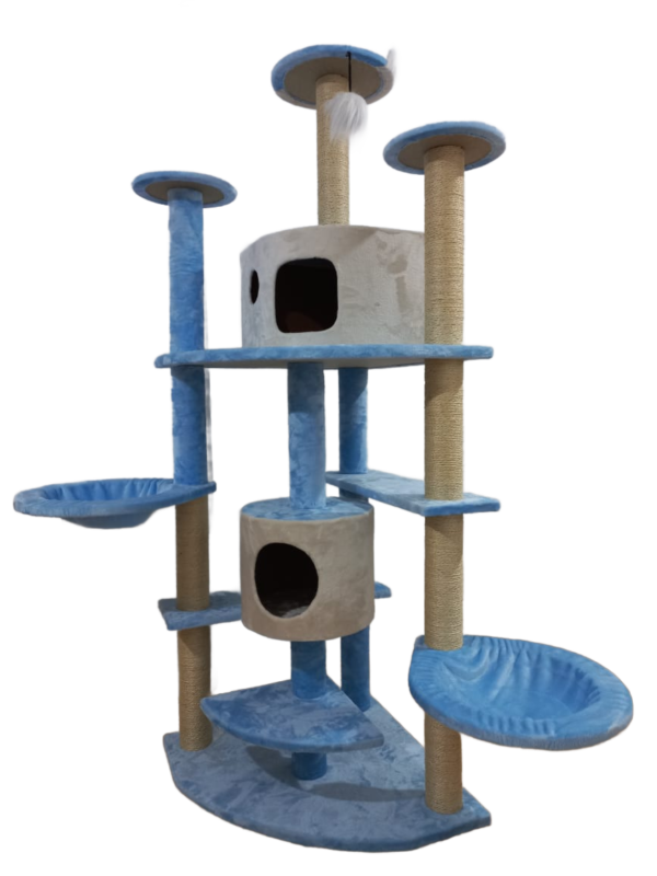 Arbre à chat bleu avec espaces multiples